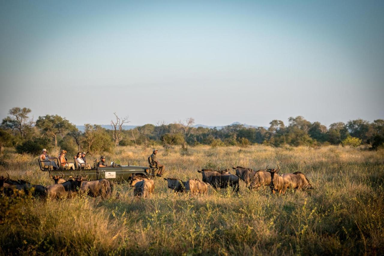 Umkumbe Bush Lodge - Luxury Tented Camp Sabi Sand Game Reserve Luaran gambar