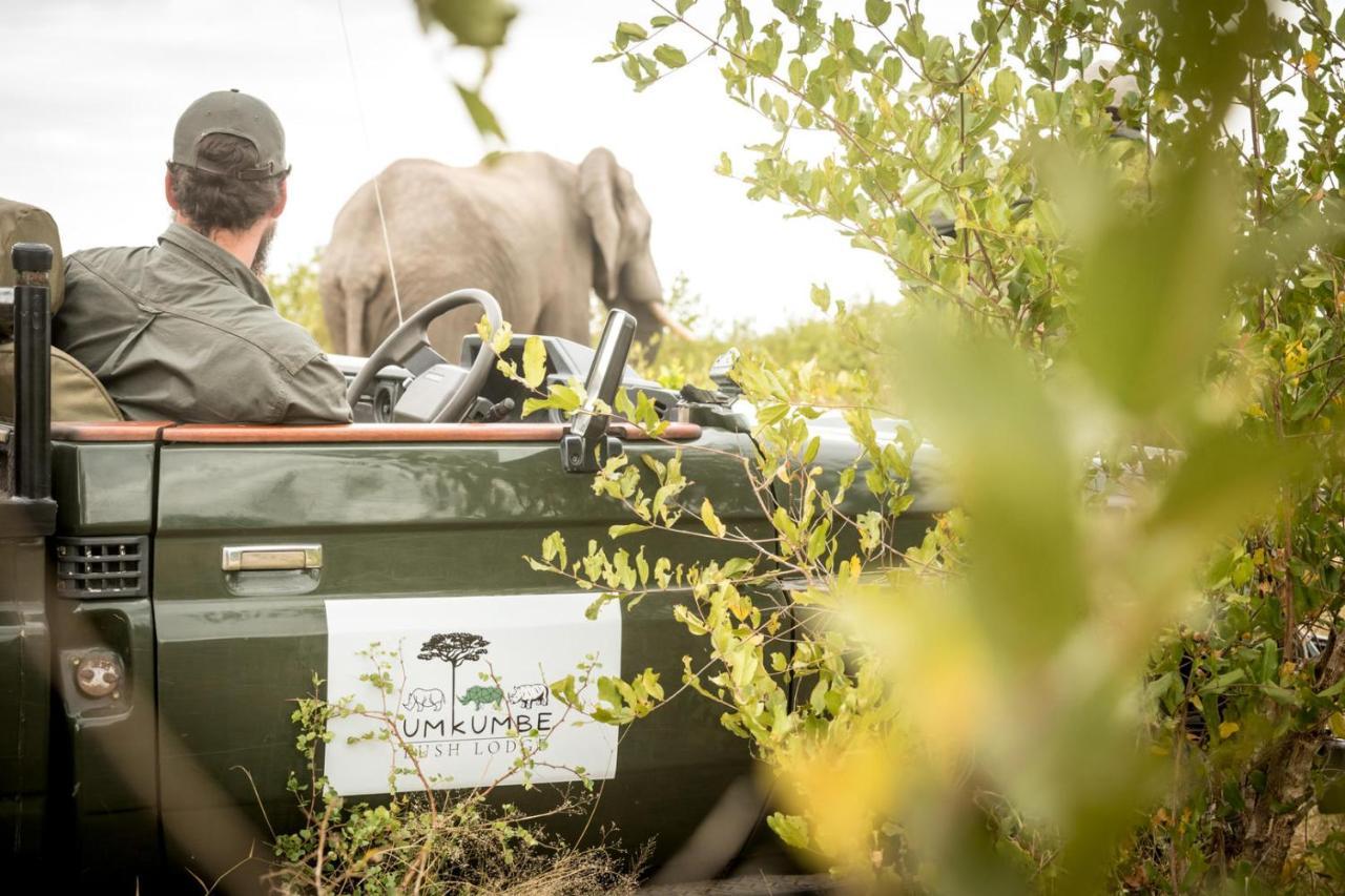 Umkumbe Bush Lodge - Luxury Tented Camp Sabi Sand Game Reserve Luaran gambar