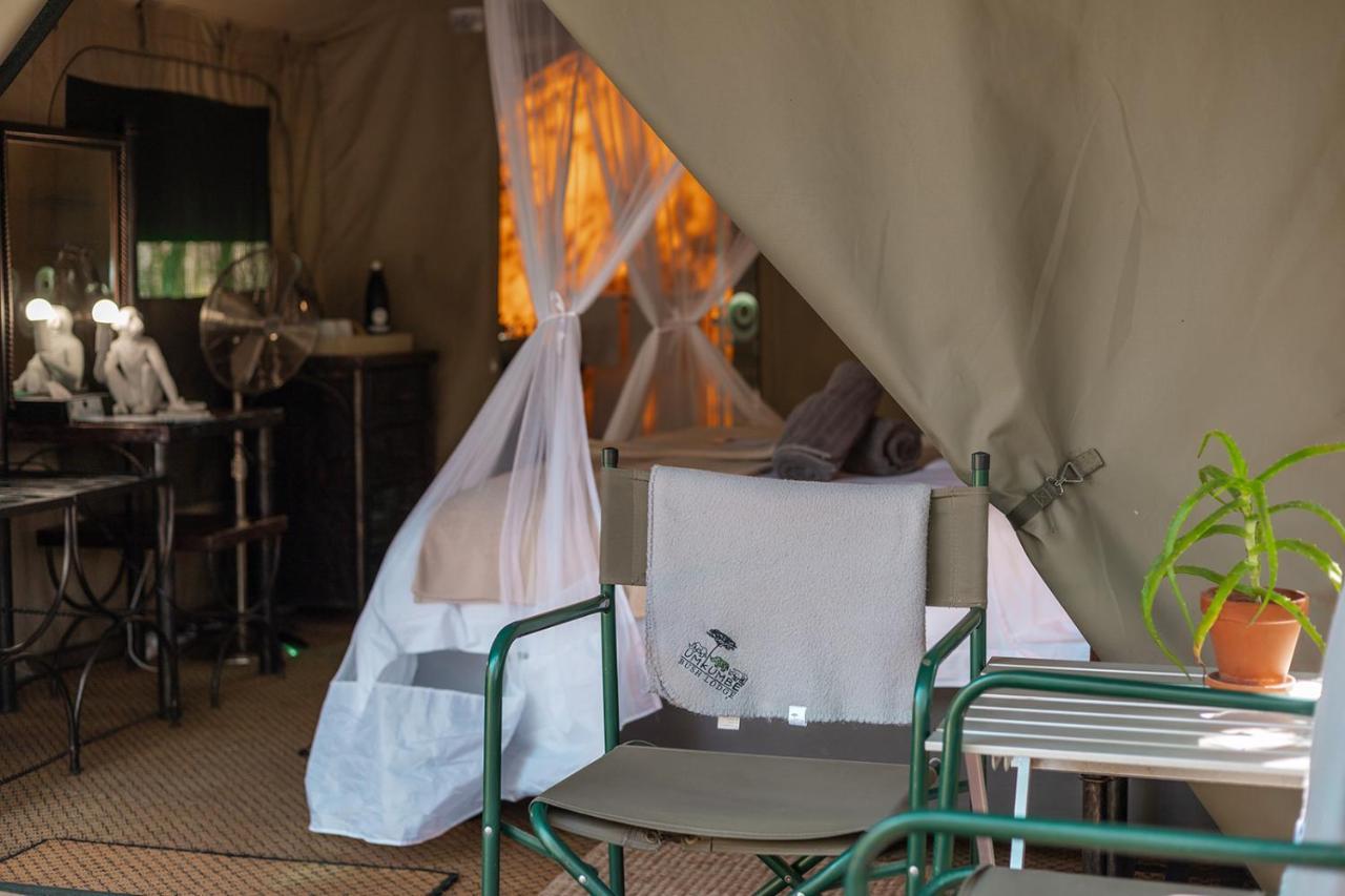 Umkumbe Bush Lodge - Luxury Tented Camp Sabi Sand Game Reserve Luaran gambar