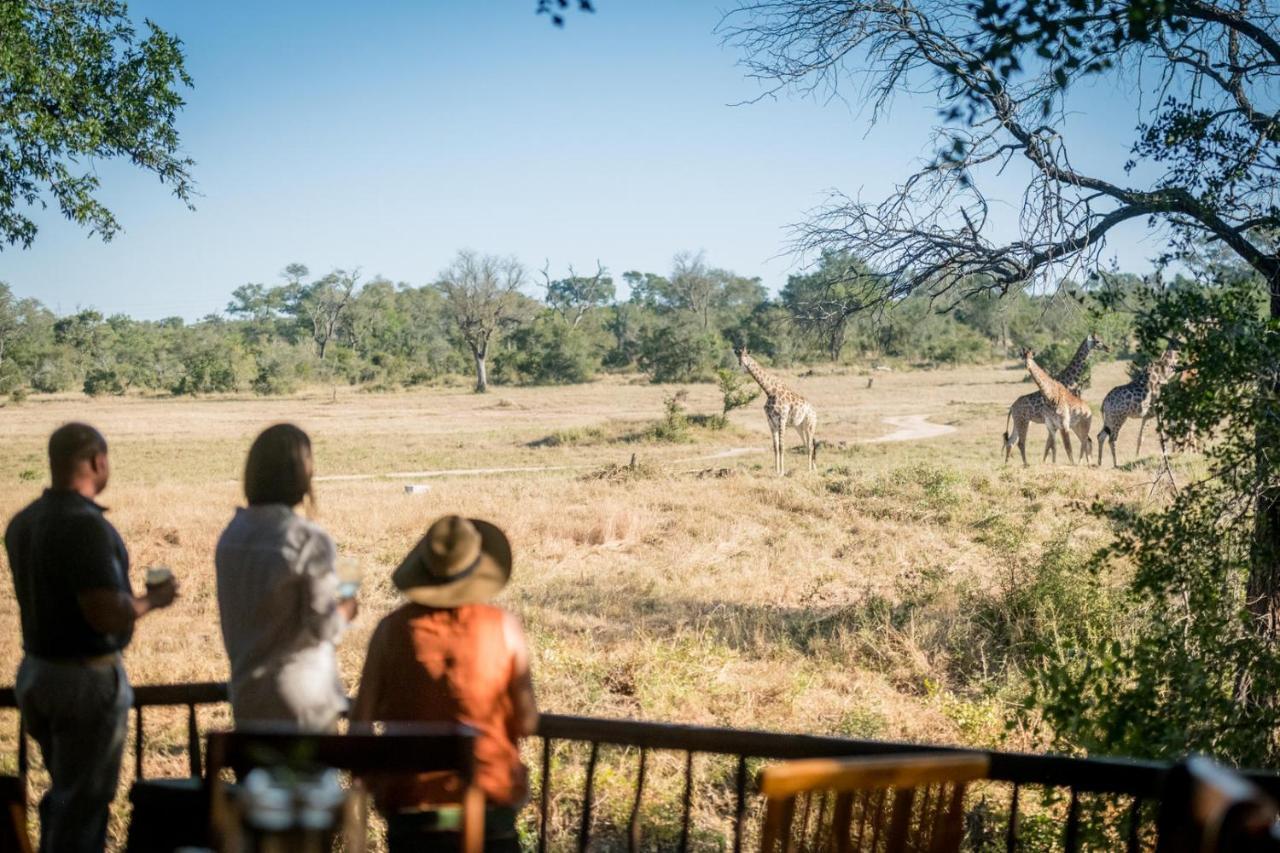 Umkumbe Bush Lodge - Luxury Tented Camp Sabi Sand Game Reserve Luaran gambar
